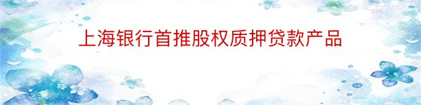 上海银行首推股权质押贷款产品